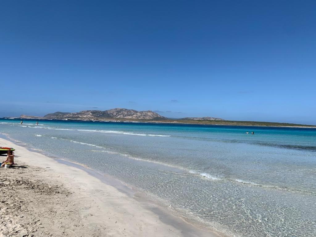 Pelosa - Capo Falcone Excellent Apartment Stintino Εξωτερικό φωτογραφία