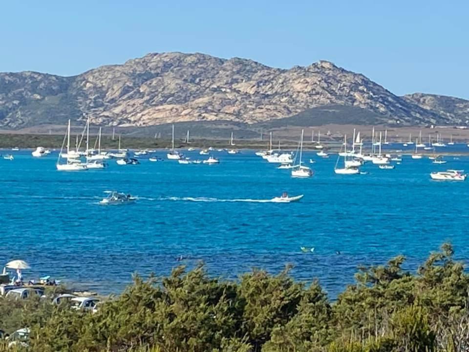 Pelosa - Capo Falcone Excellent Apartment Stintino Εξωτερικό φωτογραφία